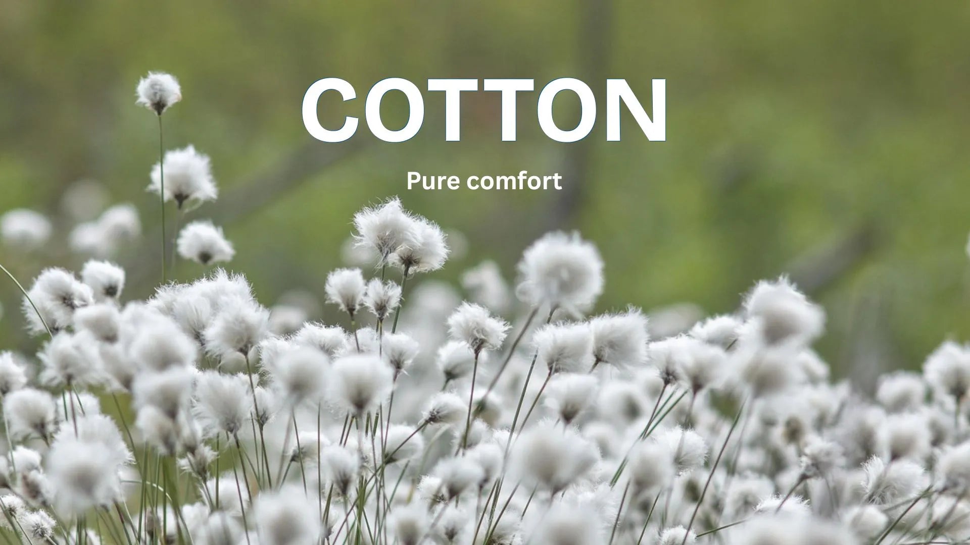 Fabric Image